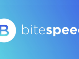SaaS startup BiteSpeed