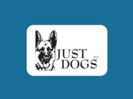 Pet care firm Just Dogs