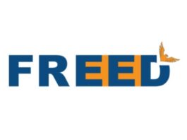 Consumer debt relief startup Freed