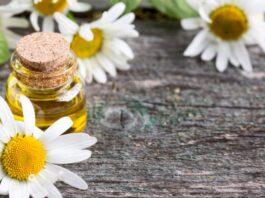 How a Chamomile Essential Oil Can Help Your Hair-fall