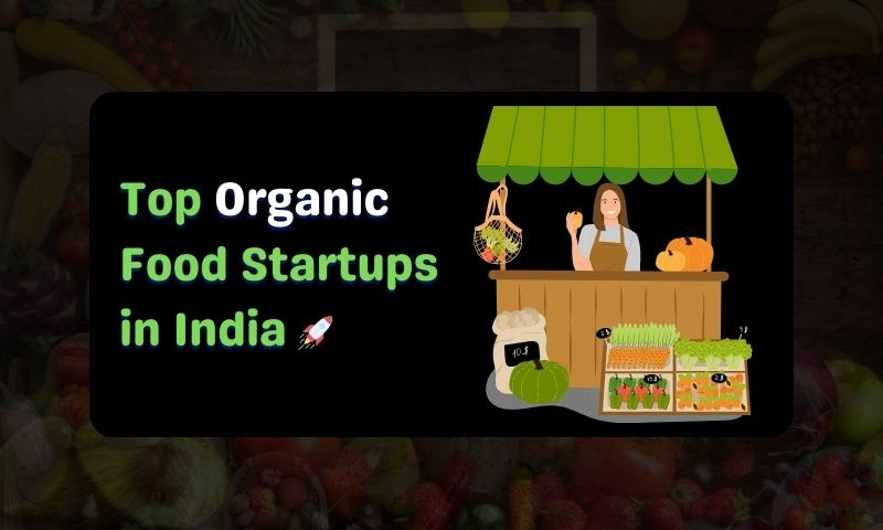 Brewhouse, Nimble Growth, Zama Organics, Naturevibe Botanicals, Quessentials, Naturally Yours, I Say Organic, Farmers Fresh Zone, and Just Organik are the Top 10 Best Organic Food Startups in India in 2023.