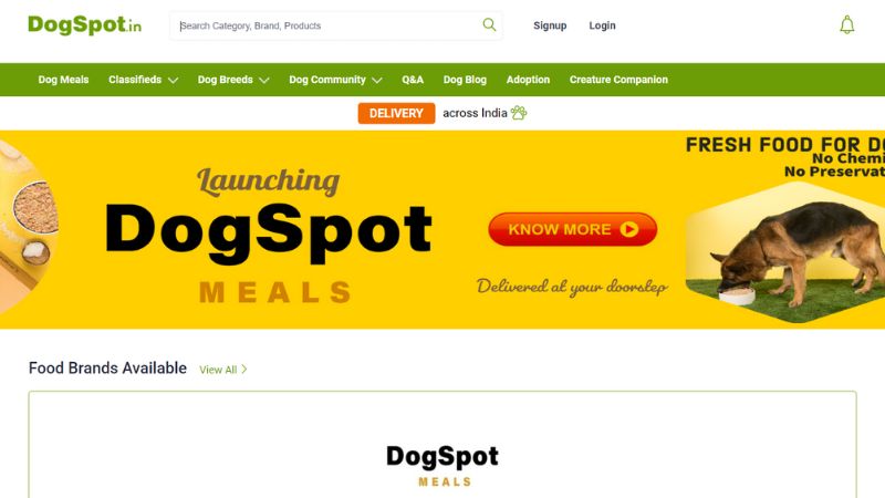 Top 20 Best Startups in Delhi | DogSpot