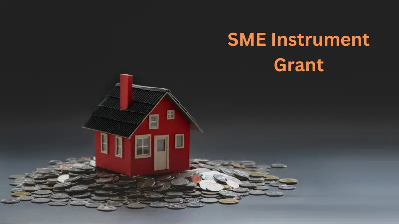 The SME Instrument fund shines as a beacon of aid for smaller and medium-sized enterprises with ambitious goals, buried among the vast array of the European union's innovation programmes. This award takes centre stage in developing the potential transmitted power of innovative concepts as an essential component of the Horizon 2020 programme.