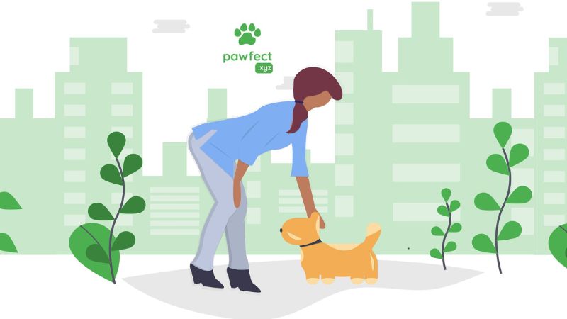 Top 10 Pet Care Brands in India | Pawfect . Xyz