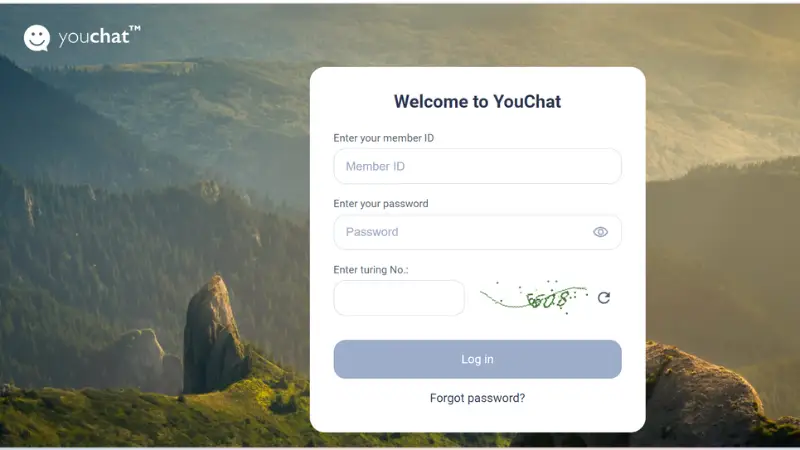 Youchat - AI search assistant platform