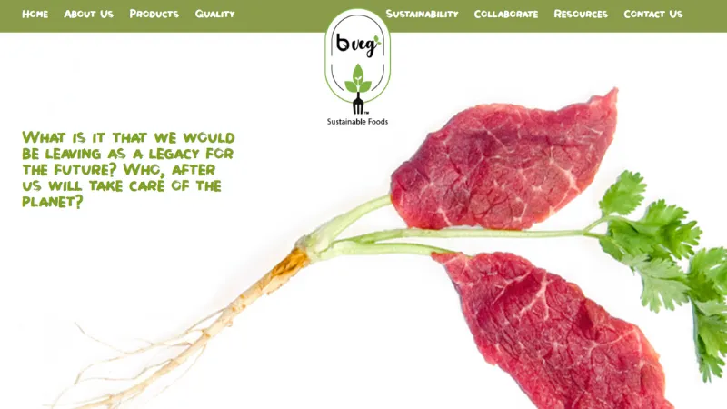 Top 10 Plant-Based Meat Startups in India | BVeg Foods