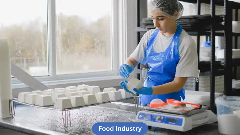 Top 10 Growing Business Sectors in India | Food Industry