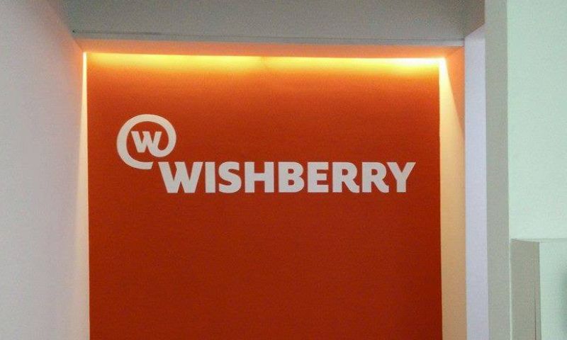 Wishberry - Rewards Based Fundraising Sites for Individuals