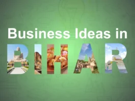 Bihar Small Business Ideas