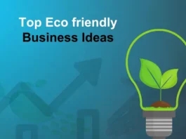Eco Friendly Business Ideas
