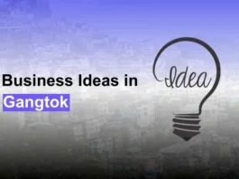 Business Ideas in Gangtok