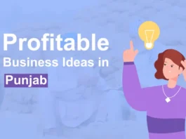 Profitable Business Idea for Punjab