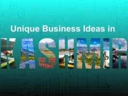 Small and Unique Business Ideas in Kashmir