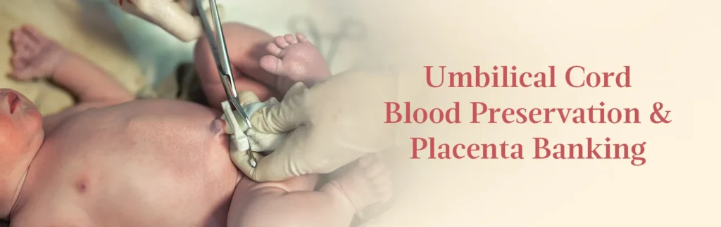 Umbilical Cord Blood Vs Placenta Banking