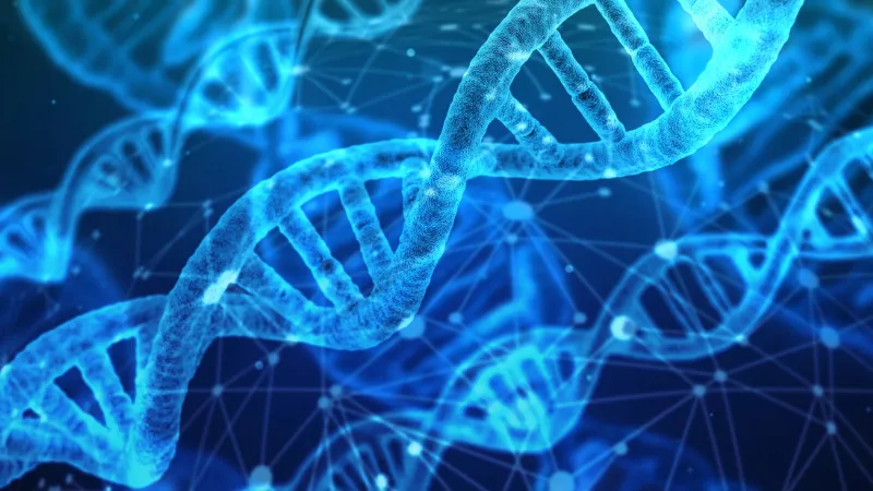 DNA Reading - promising future business idea