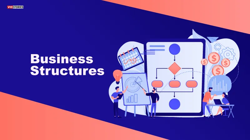 Business structures examples