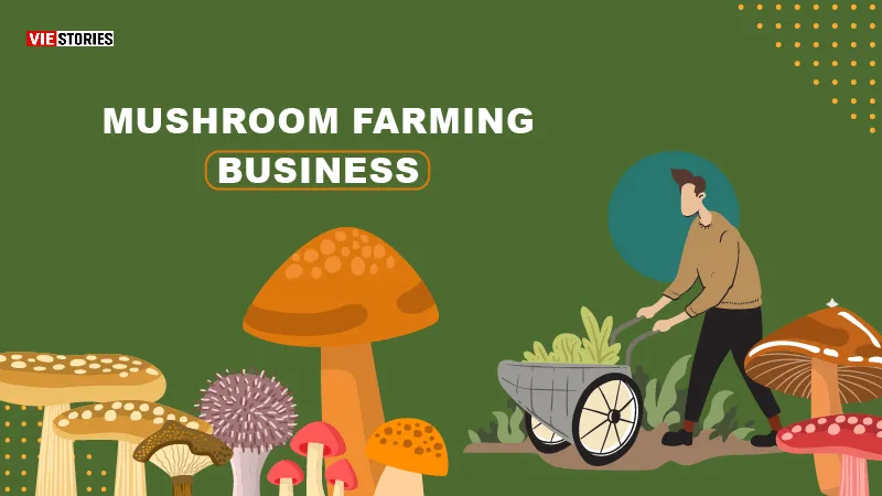 Starting Mushroom Farming Business in India