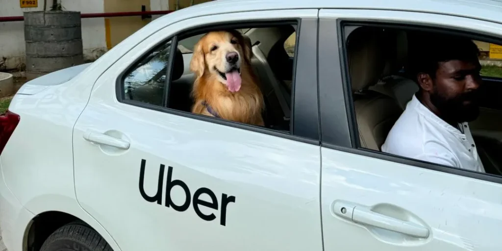 Uber India Launches Pet-friendly Cabs in Bengaluru